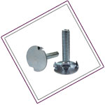 SS 304l Elevstor Bolt