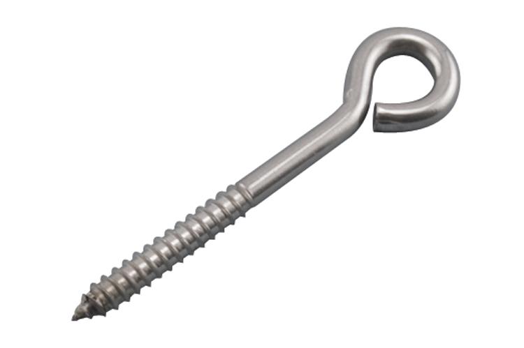 Stainless Steel Lag Eye Screw