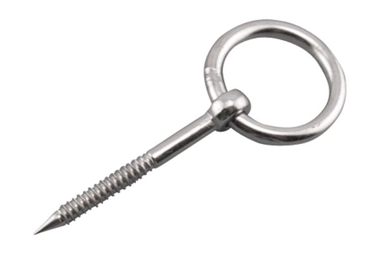 Stainless Steel Lag Ring Bolt