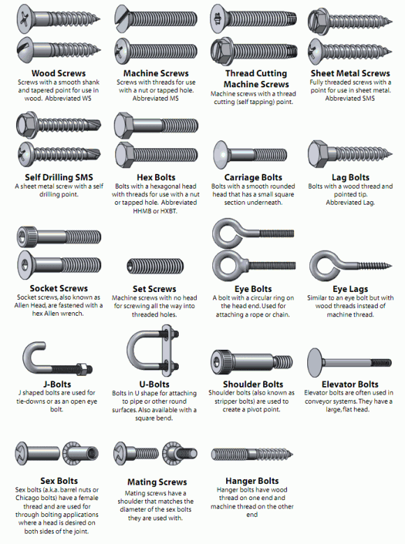 What are the different types of screws